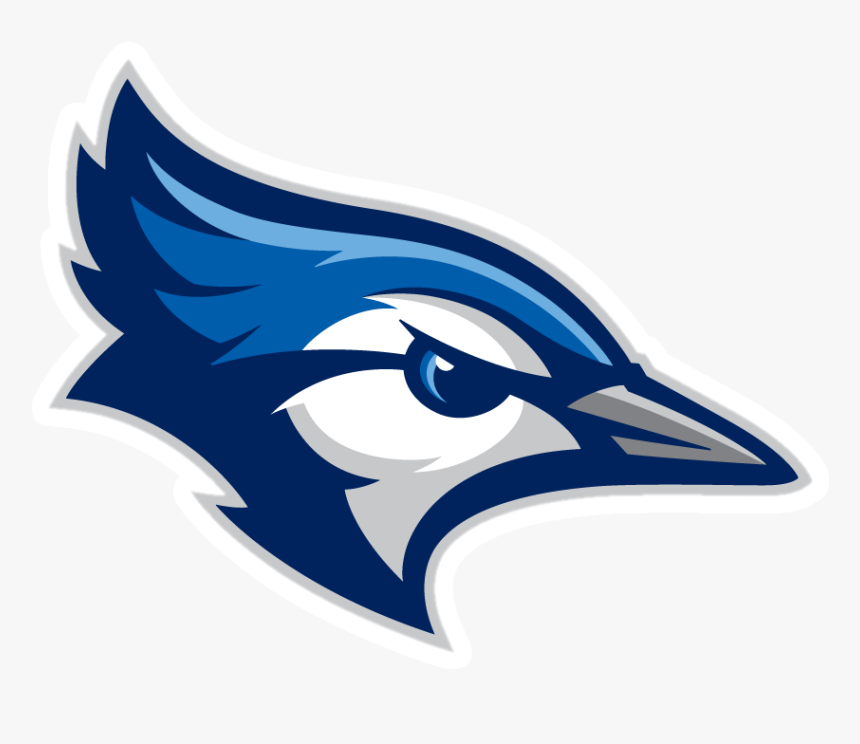 Minor Canadian Blue Jays